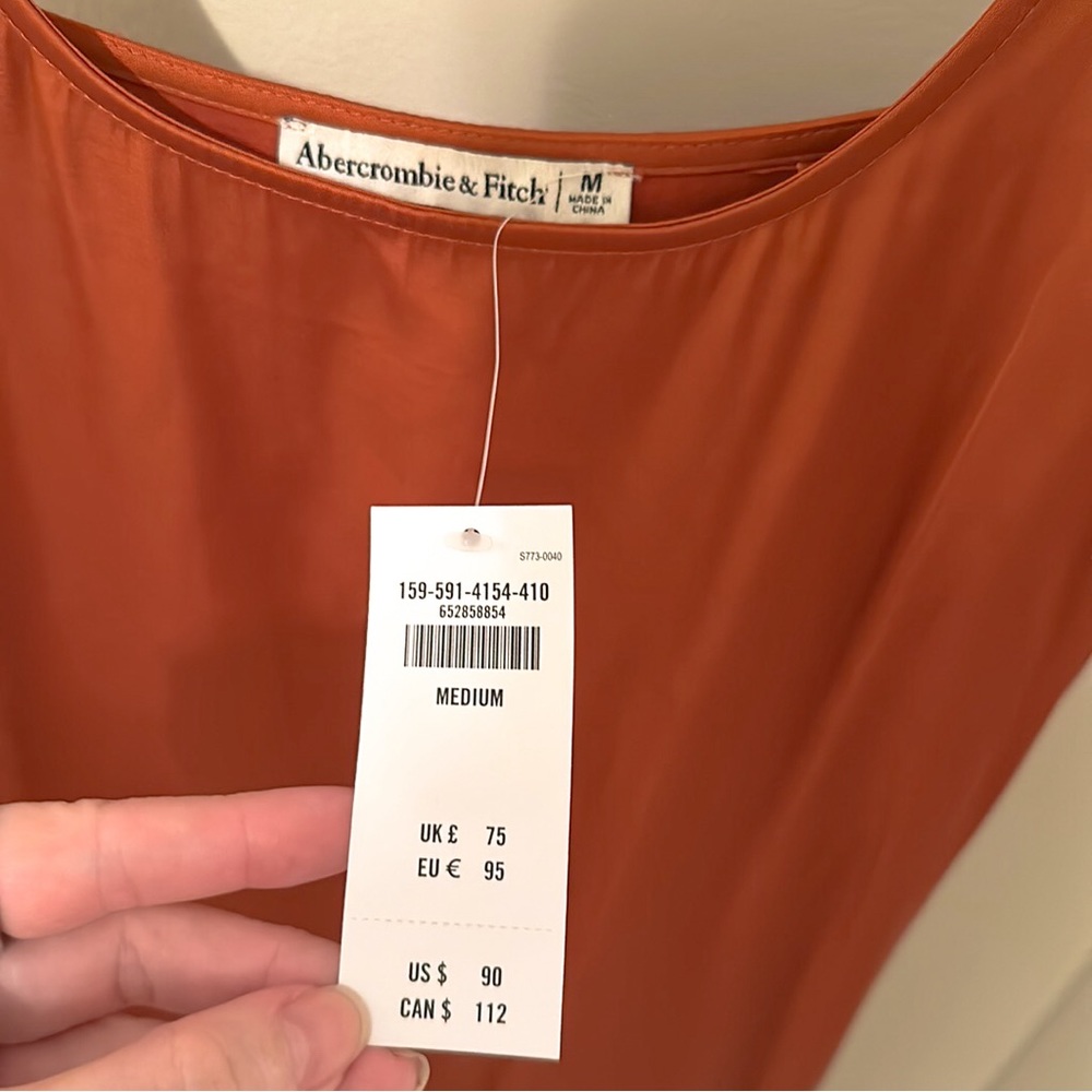 Abercrombie & Fitch | Satin Slip Midi Dress Burnt Orange – Size M NWT - Picture 6 of 11